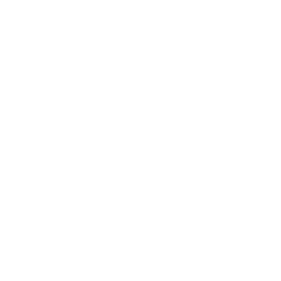 lesson